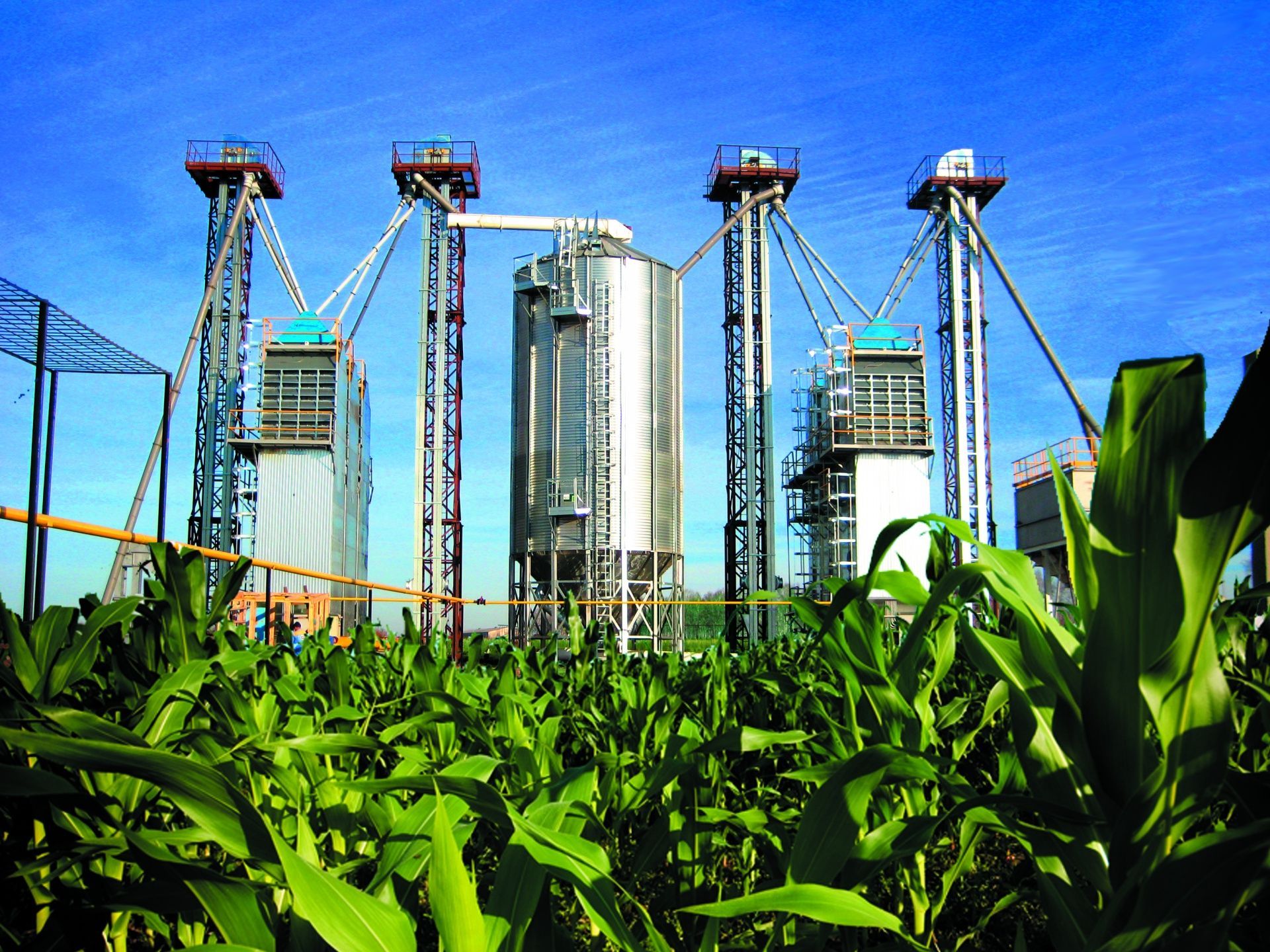 Ульяновская область — Зерносушильный комплекс производительностью по кукурузе 30 т/ч при снятии влажности с 44 до 14%