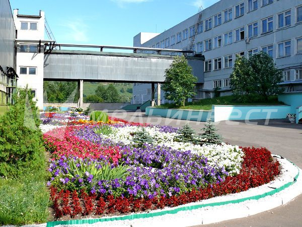 Цветы на территории завода
